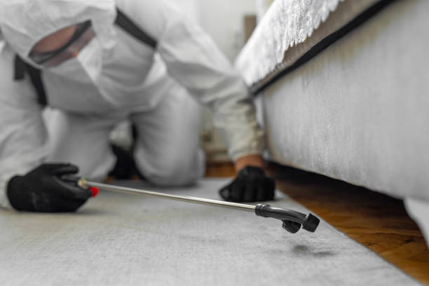 Professional Cockroach Control technician working in Manitowoc, WI