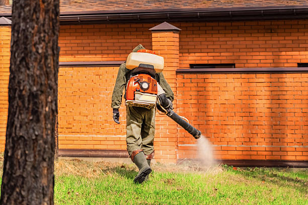 Trusted Rodent Control service in Manitowoc, WI - Nex Pest Control